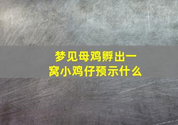 梦见母鸡孵出一窝小鸡仔预示什么