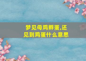 梦见母鸡孵蛋,还见到鸡蛋什么意思