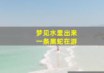 梦见水里出来一条黑蛇在游