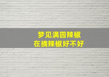 梦见满园辣椒在摘辣椒好不好