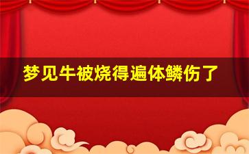 梦见牛被烧得遍体鳞伤了