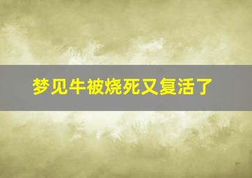 梦见牛被烧死又复活了