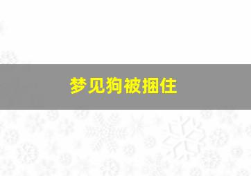 梦见狗被捆住