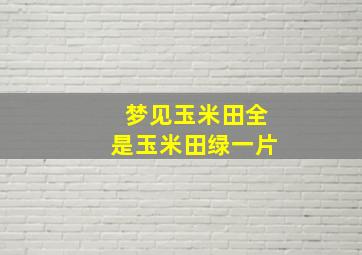 梦见玉米田全是玉米田绿一片