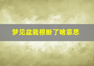 梦见盆栽根断了啥意思