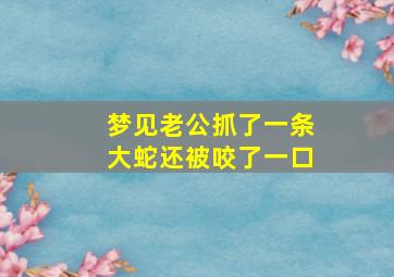 梦见老公抓了一条大蛇还被咬了一口