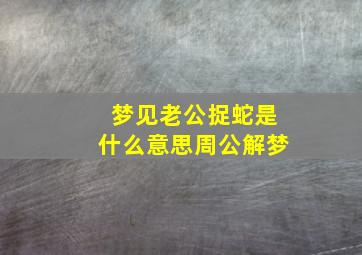 梦见老公捉蛇是什么意思周公解梦