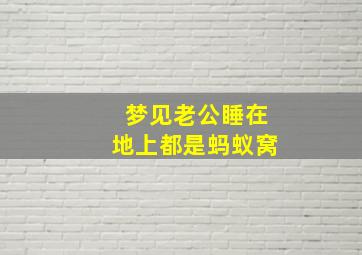 梦见老公睡在地上都是蚂蚁窝