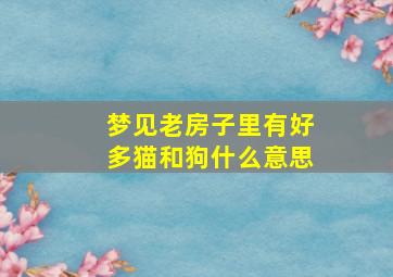 梦见老房子里有好多猫和狗什么意思