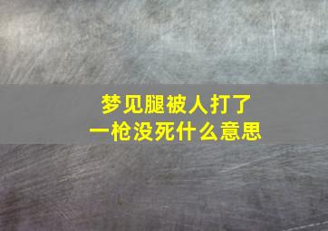 梦见腿被人打了一枪没死什么意思