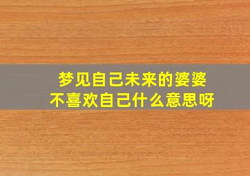 梦见自己未来的婆婆不喜欢自己什么意思呀