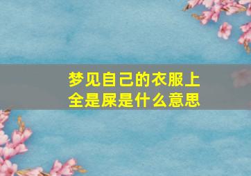 梦见自己的衣服上全是屎是什么意思