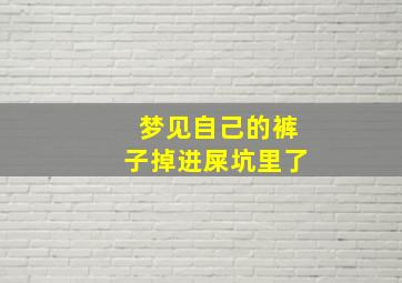 梦见自己的裤子掉进屎坑里了