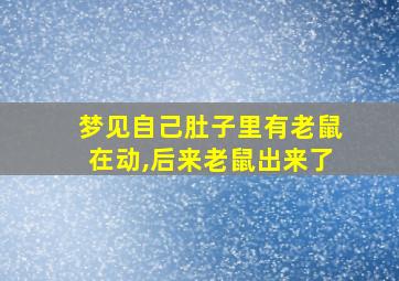 梦见自己肚子里有老鼠在动,后来老鼠出来了