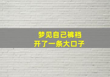 梦见自己裤裆开了一条大口子