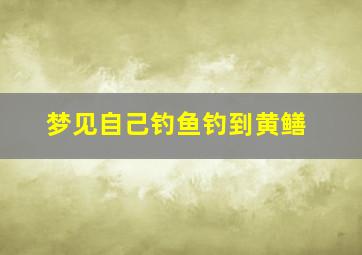 梦见自己钓鱼钓到黄鳝