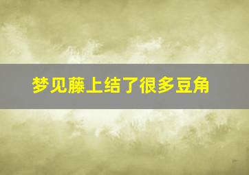 梦见藤上结了很多豆角