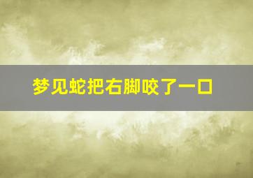 梦见蛇把右脚咬了一口