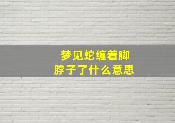 梦见蛇缠着脚脖子了什么意思