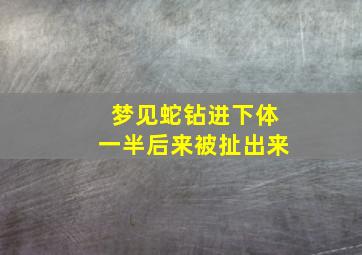 梦见蛇钻进下体一半后来被扯出来