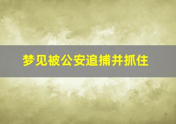 梦见被公安追捕并抓住