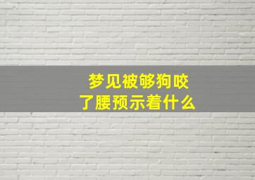 梦见被够狗咬了腰预示着什么