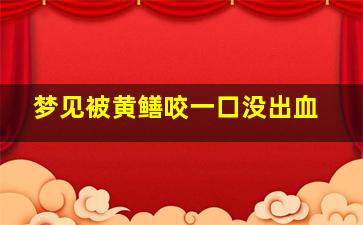 梦见被黄鳝咬一口没出血