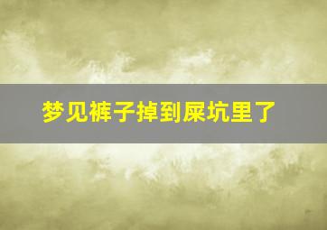 梦见裤子掉到屎坑里了