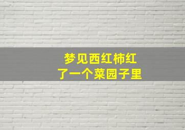 梦见西红柿红了一个菜园子里