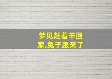 梦见赶着羊回家,兔子跟来了