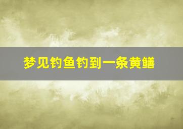 梦见钓鱼钓到一条黄鳝