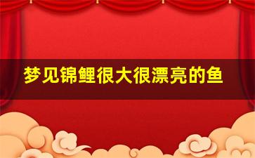 梦见锦鲤很大很漂亮的鱼