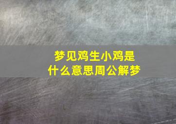 梦见鸡生小鸡是什么意思周公解梦