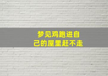 梦见鸡跑进自己的屋里赶不走