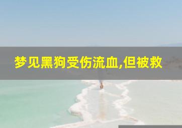 梦见黑狗受伤流血,但被救