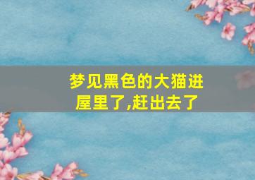 梦见黑色的大猫进屋里了,赶出去了