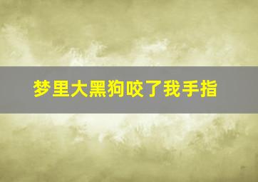 梦里大黑狗咬了我手指