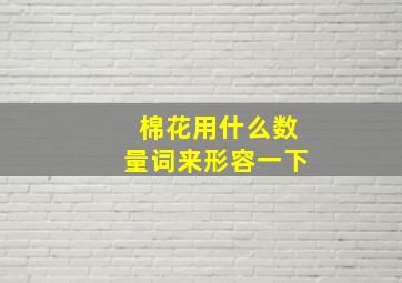 棉花用什么数量词来形容一下