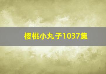 樱桃小丸子1037集