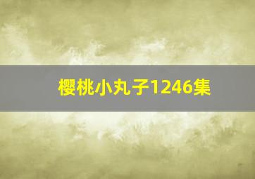 樱桃小丸子1246集