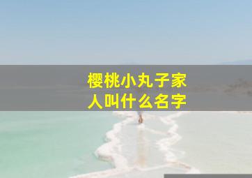 樱桃小丸子家人叫什么名字