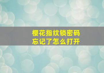 樱花指纹锁密码忘记了怎么打开