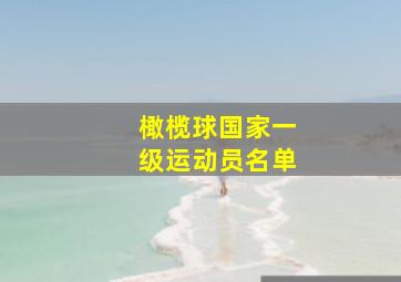 橄榄球国家一级运动员名单