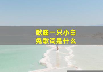 歌曲一只小白兔歌词是什么