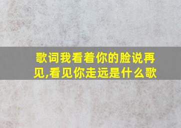 歌词我看着你的脸说再见,看见你走远是什么歌