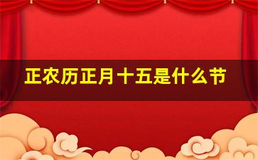 正农历正月十五是什么节