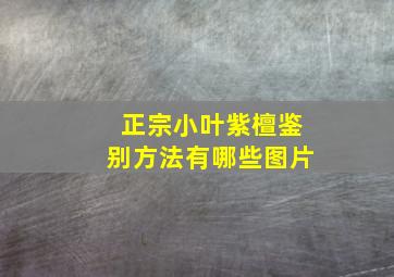 正宗小叶紫檀鉴别方法有哪些图片