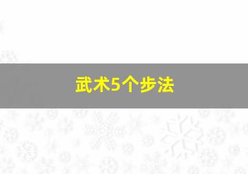 武术5个步法