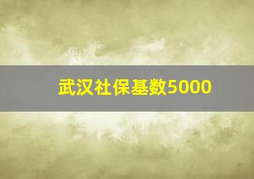 武汉社保基数5000