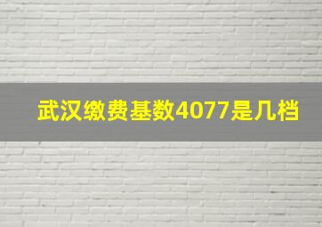 武汉缴费基数4077是几档